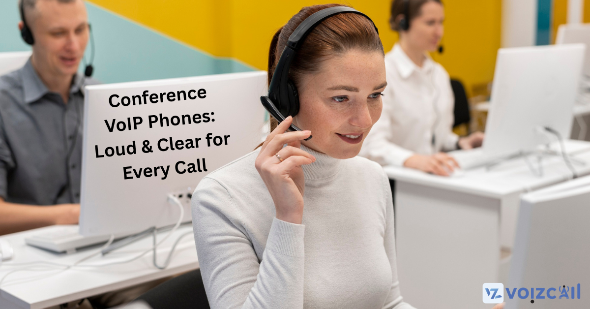 HD audio technology for professional conference calls